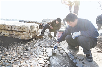 鵝卵石在環境建設中的應用