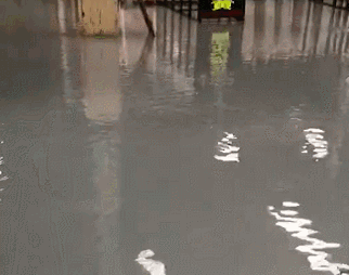 福建水頭石材市場拒絕水逆，石材人要遇水則發……