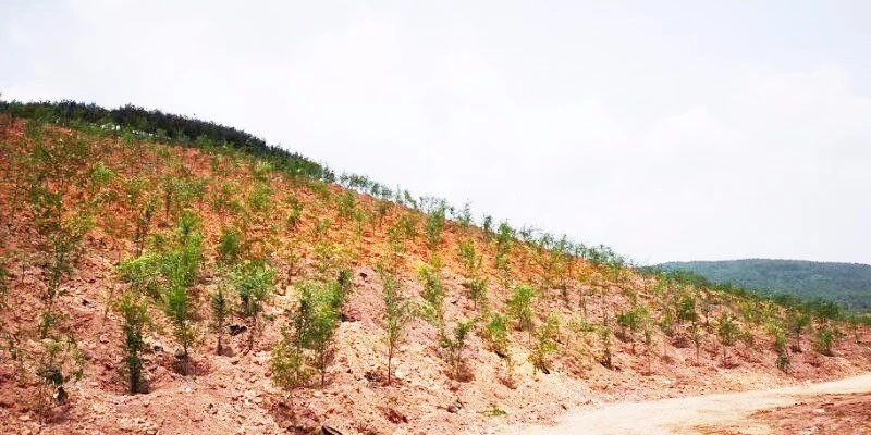 礦山環境“開發式治理”之路如何走？
