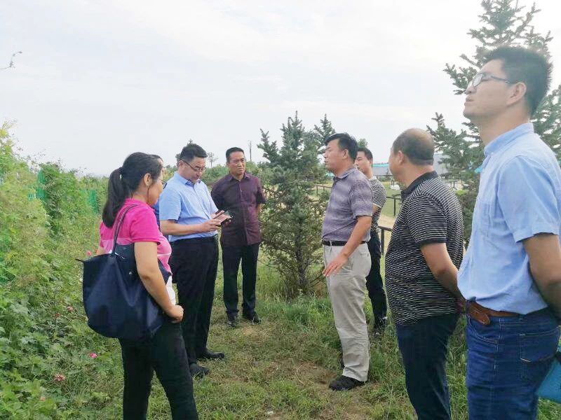 礦山環境“開發式治理”之路如何走？