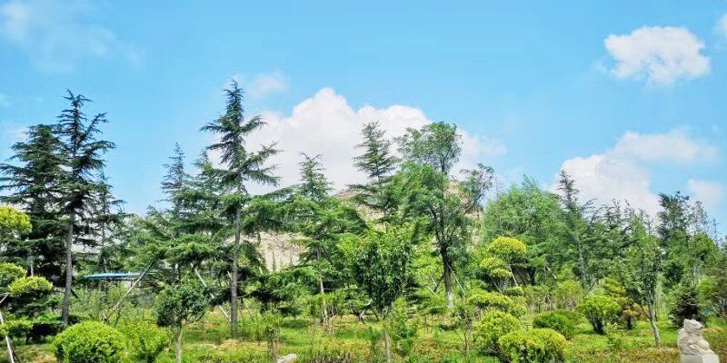 礦山環境“開發式治理”之路如何走？