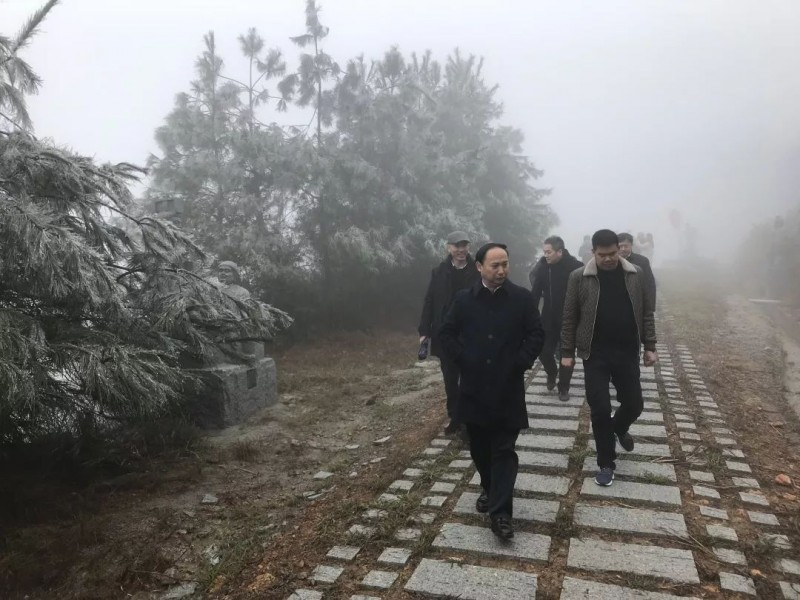 蔓延全國的富強石材礦山“綠色發展理念”是怎么做的？