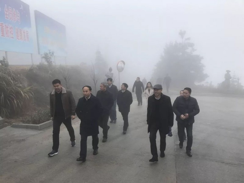 蔓延全國的富強石材礦山“綠色發展理念”是怎么做的？