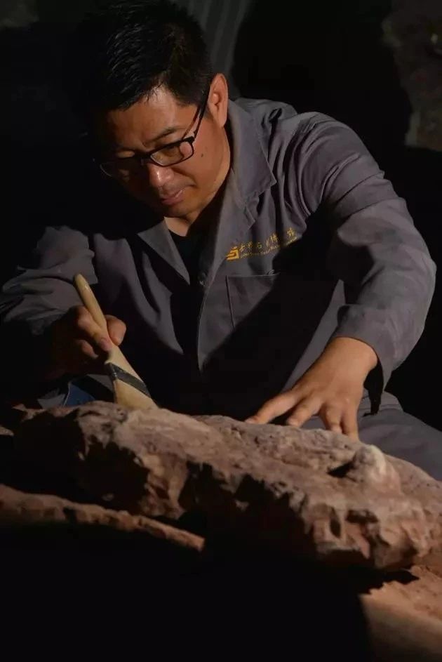 中國發現霸王龍足跡，收藏于南安水頭鎮英良世界石材自然歷史博物館