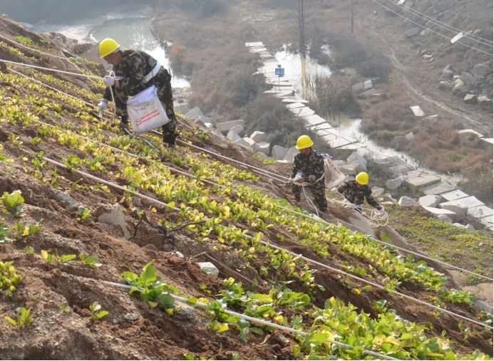 湖北完成礦山生態修復5萬畝，隨縣石材礦山復綠9010畝，礦山盼復工！