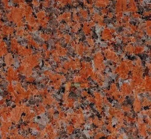 水頭市場“印度紅”遭瘋搶，搶不到也別慌，還有國產印度紅！