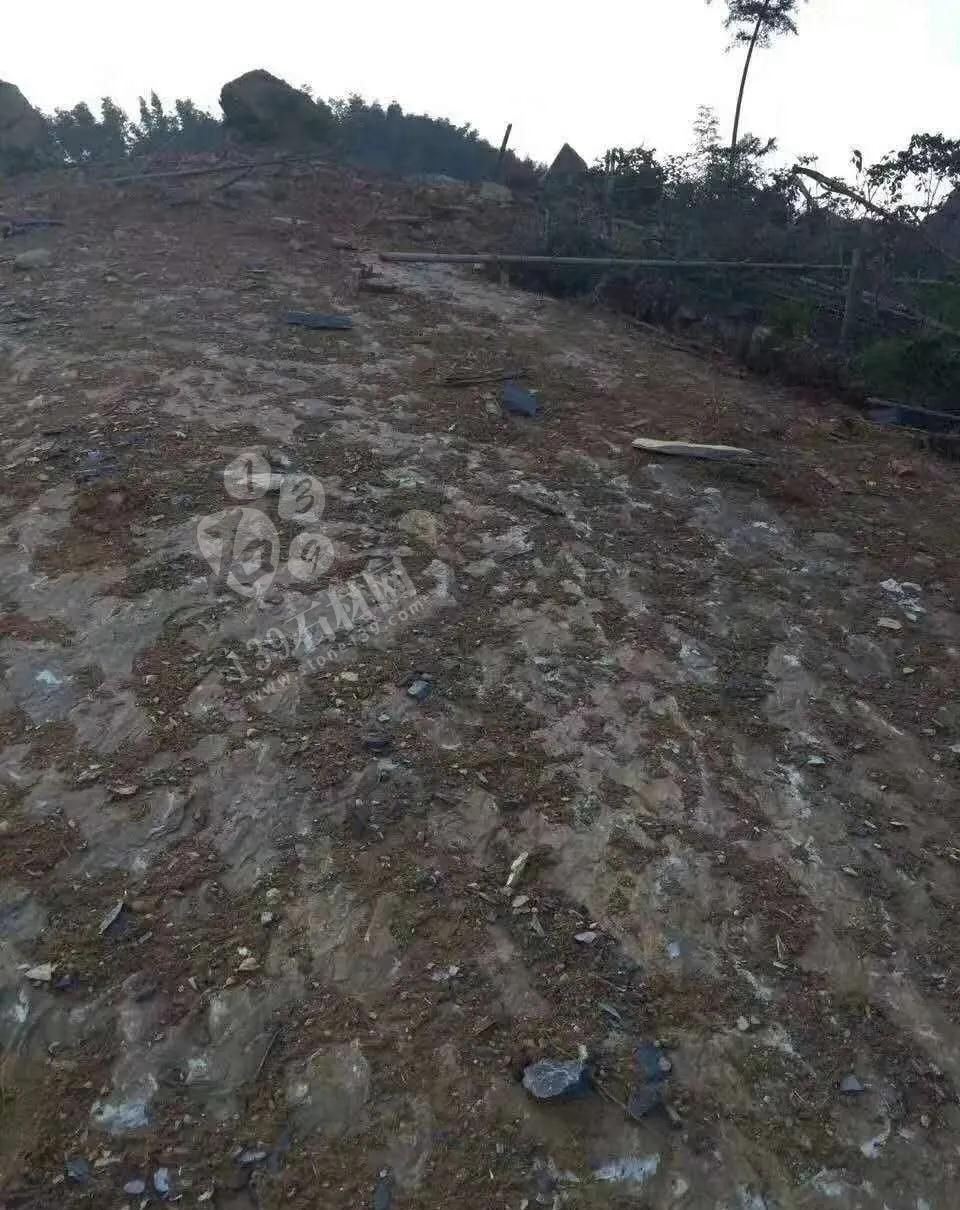 江西省安福縣委書記等領導一行蒞臨方通石業視察指導！附江西吉安新品青石欣賞！ 