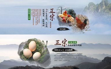 綠色田園，健康生活——優質農產品展