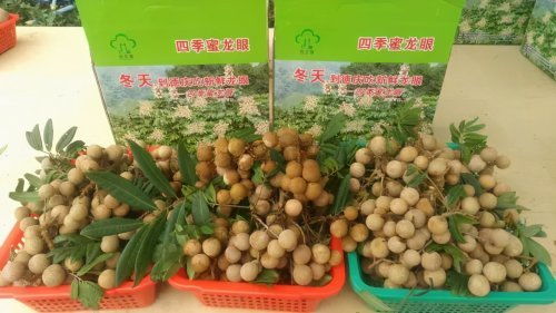 肇慶被確定為國家農產品質量安全市創建單位，躍居全省第三